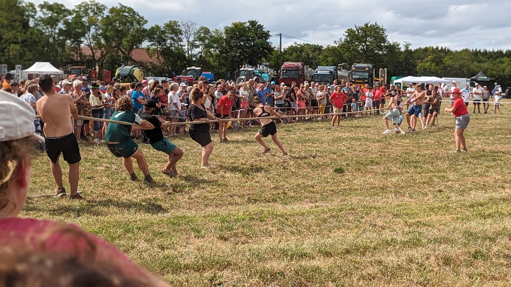 PXL_20230812_142334310.PORTRAIT.jpg (555 KB)