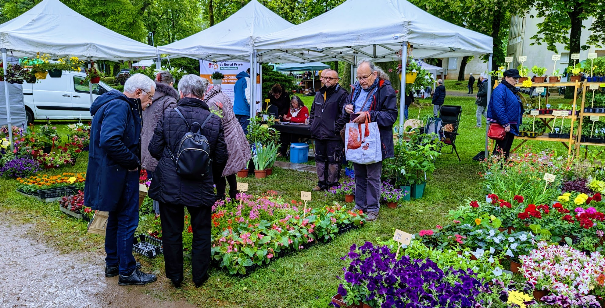 Fleurs 1.jpg (802 KB)