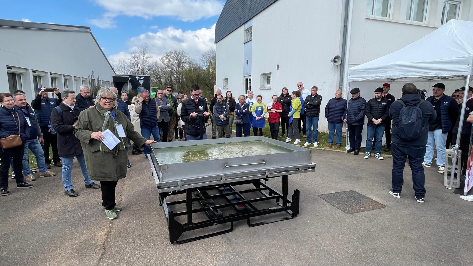 WhatsApp Image 2025-03-31 at 09.33.01.jpeg (245 KB)