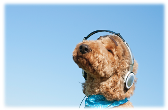 Communiquez.png (115 KB)