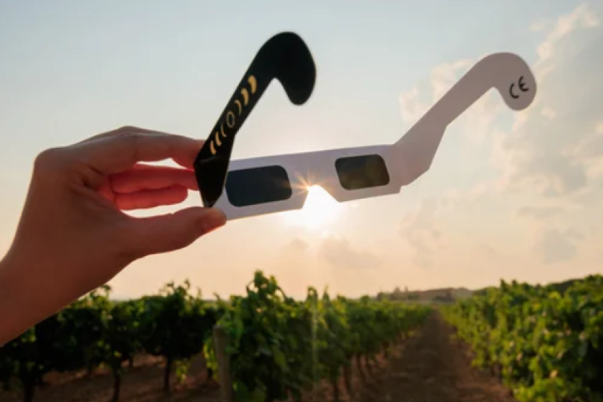 Éclipse du 12 août : les pharmaciens face au manque de lunettes de protection